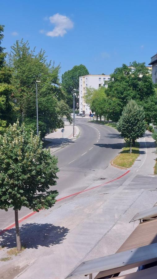 Cozy, Bright And Affordable Studio W/ Free Parking Ljubljana Exteriör bild